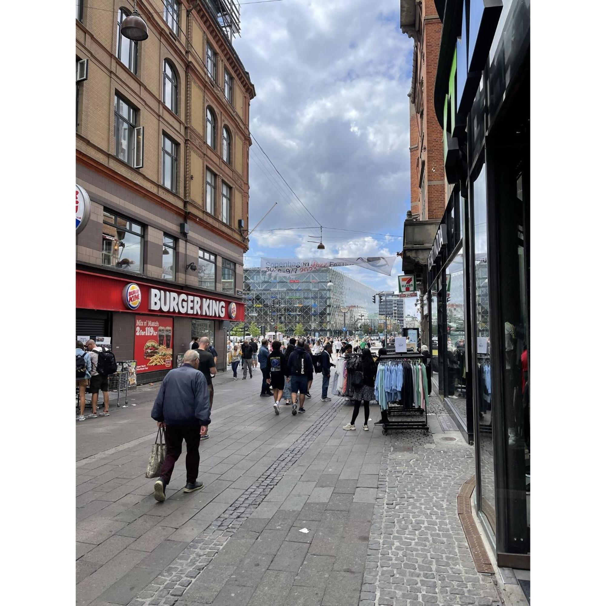 Apartmentincopenhagen Apartment 1555 Екстер'єр фото